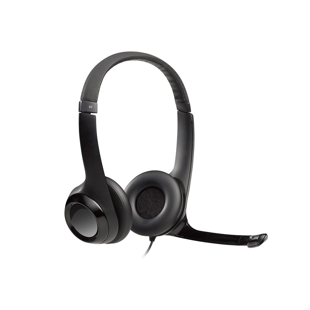 Logitech H390 USB Computer Headset
