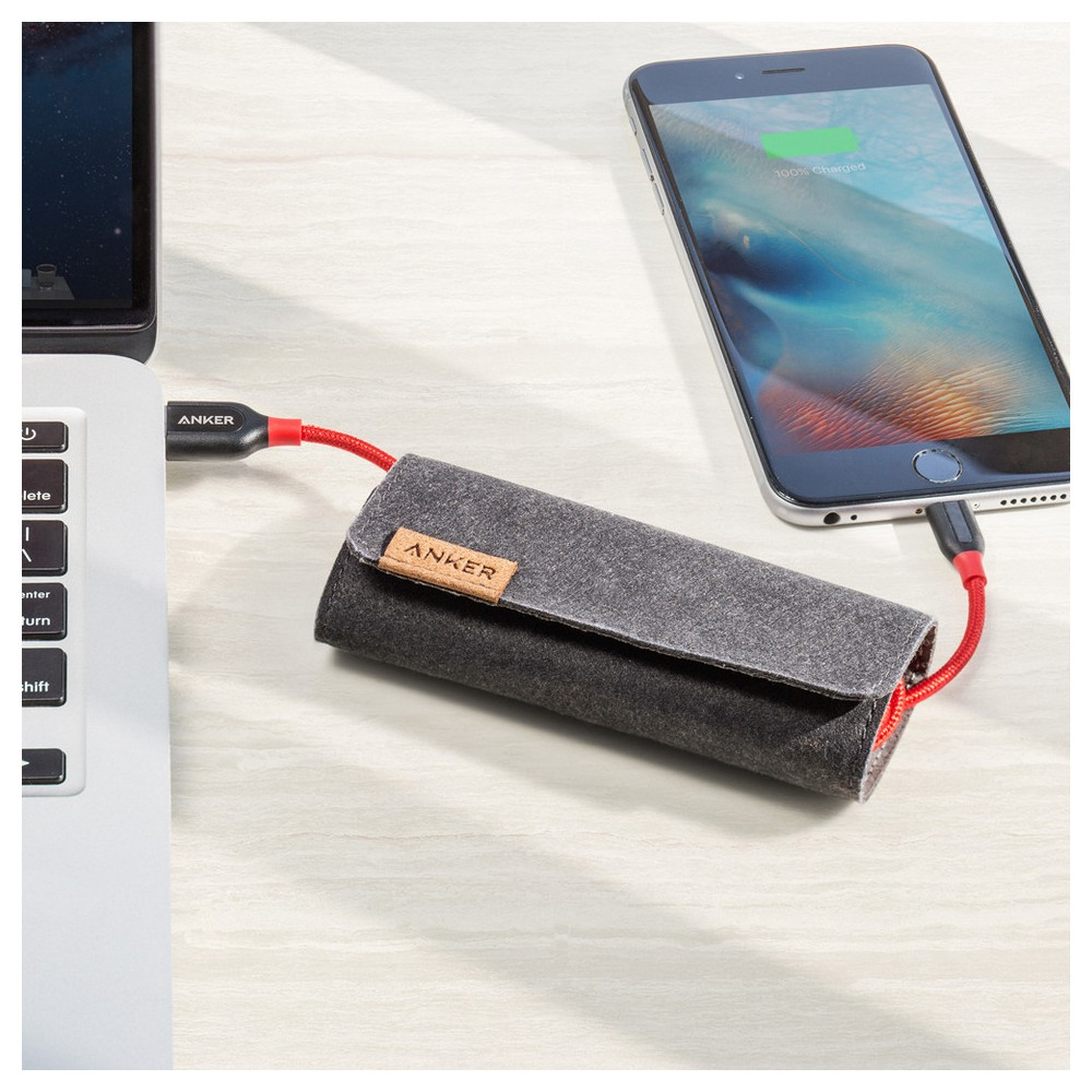 Anker Powerline + 3ft Lightning Cable